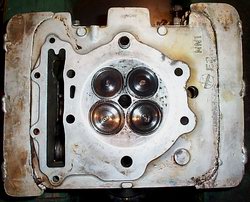 ballardheadunderside.jpg