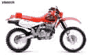 XR600R