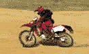 XR650