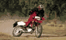 XR650